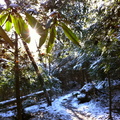 Winter on the Sheltowee Trace - 3